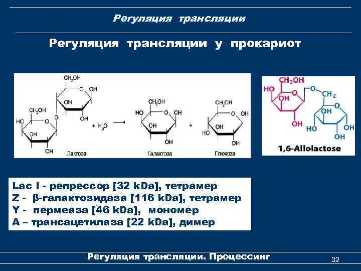 Регуляция трансляции у прокариот Lac I - репрессор [32 k. Da], тетрамер Z -
