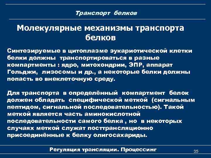 Транспорт белков Молекулярные механизмы транспорта белков Синтезируемые в цитоплазме эукариотической клетки белки должны транспортироваться