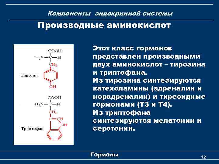 Компоненты эндокринной системы Производные аминокислот Этот класс гормонов представлен производными двух аминокислот – тирозина