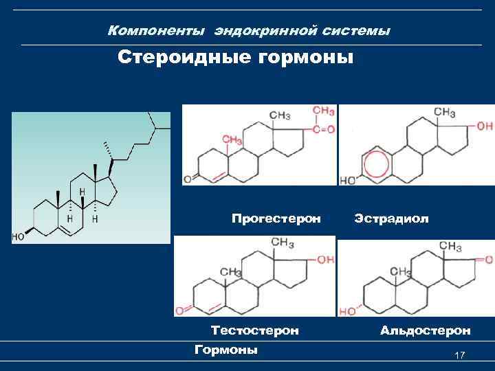 Стероидные гормоны