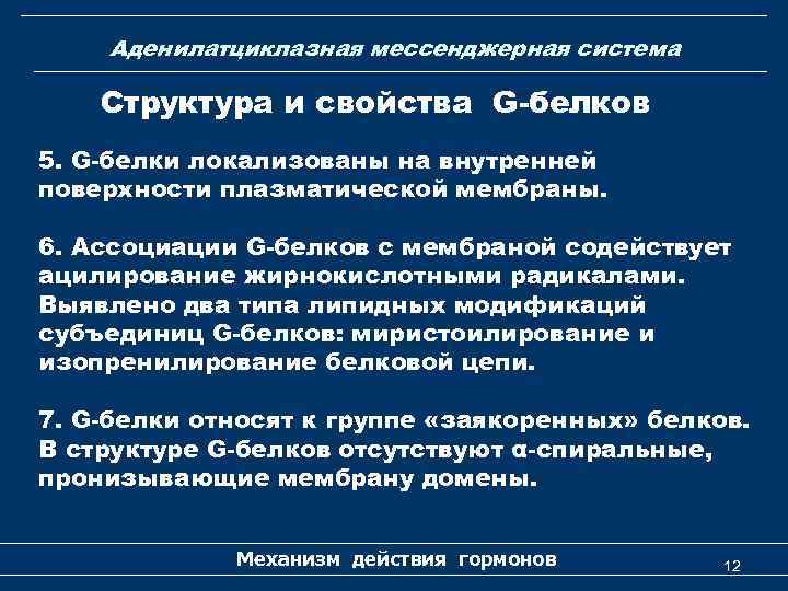 Аденилатциклазная мессенджерная система Структура и свойства G-белков 5. G-белки локализованы на внутренней поверхности плазматической