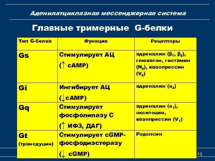 Аденилатциклазная мессенджерная система Главные тримерные G-белки Тип G-белка Функция Рецепторы Gs Стимулирует АЦ (↑