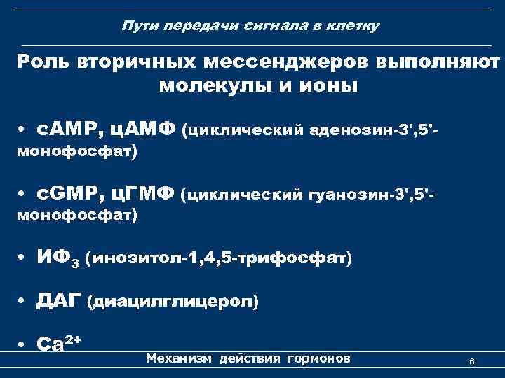 Пути передачи сигнала в клетку Роль вторичных мессенджеров выполняют молекулы и ионы • с.