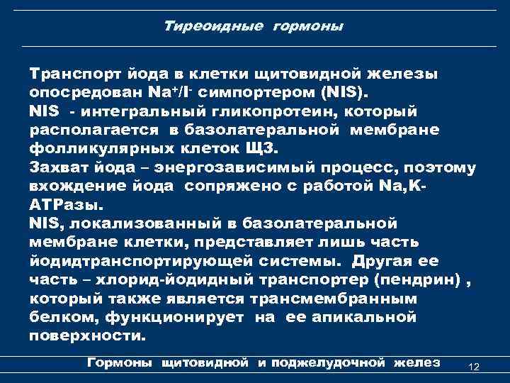 Тиреоидные гормоны Транспорт йода в клетки щитовидной железы опосредован Na+/I- симпортером (NIS). NIS -