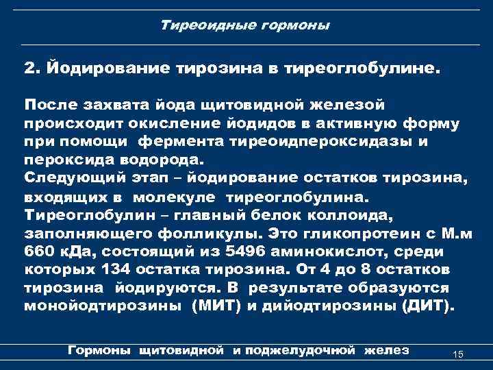 Тиреоидные гормоны 2. Йодирование тирозина в тиреоглобулине. После захвата йода щитовидной железой происходит окисление