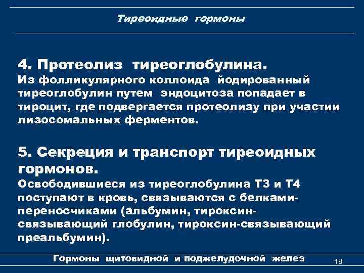 Тиреоидные гормоны 4. Протеолиз тиреоглобулина. Из фолликулярного коллоида йодированный тиреоглобулин путем эндоцитоза попадает в