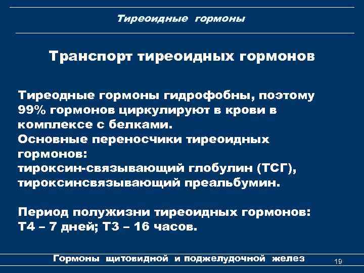 Тиреоидные гормоны Транспорт тиреоидных гормонов Тиреодные гормоны гидрофобны, поэтому 99% гормонов циркулируют в крови