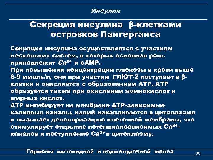 Инсулин Секреция инсулина β-клетками островков Лангерганса Секреция инсулина осуществляется с участием нескольких систем, в