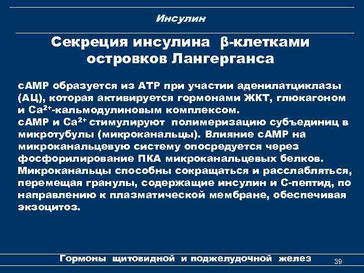 Инсулин Секреция инсулина β-клетками островков Лангерганса с. АМР образуется из АТР при участии аденилатциклазы