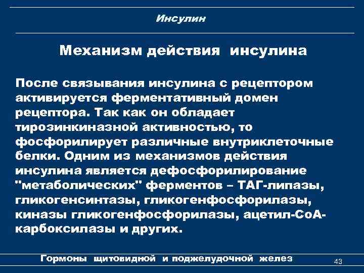 Инсулин Механизм действия инсулина После связывания инсулина с рецептором активируется ферментативный домен рецептора. Так