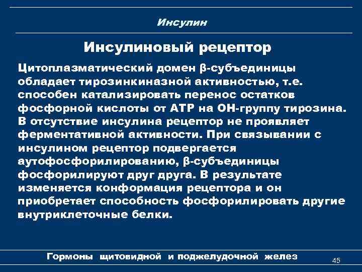 Инсулиновый рецептор Цитоплазматический домен β-субъединицы обладает тирозинкиназной активностью, т. е. способен катализировать перенос остатков