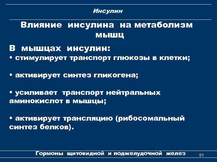 Инсулин Влияние инсулина на метаболизм мышц В мышцах инсулин: • стимулирует транспорт глюкозы в