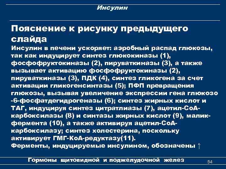 Инсулин Пояснение к рисунку предыдущего слайда Инсулин в печени ускоряет: аэробный распад глюкозы, так