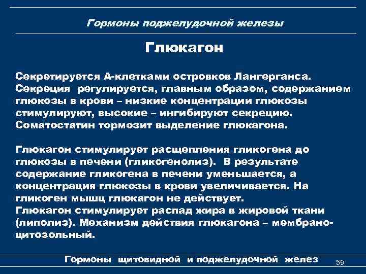  Гормоны поджелудочной железы Глюкагон Секретируется А-клетками островков Лангерганса. Секреция регулируется, главным образом, содержанием