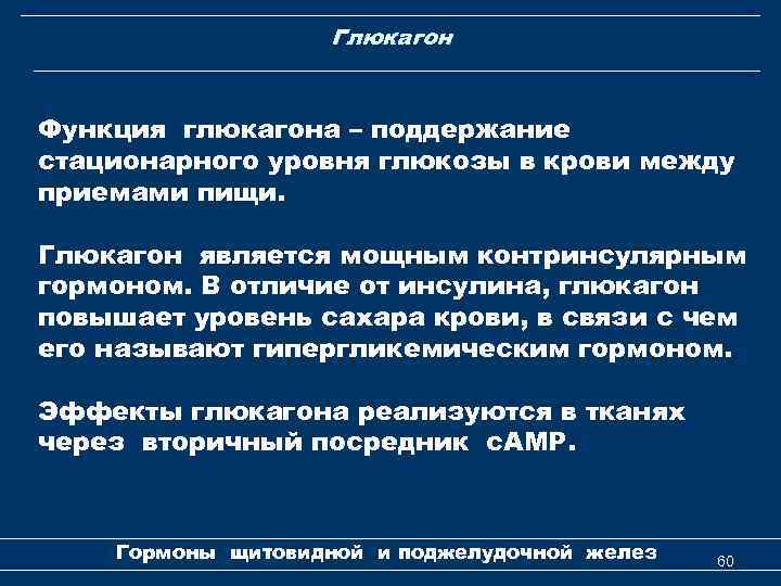 Глюкагон Функция глюкагона – поддержание стационарного уровня глюкозы в крови между приемами пищи. Глюкагон