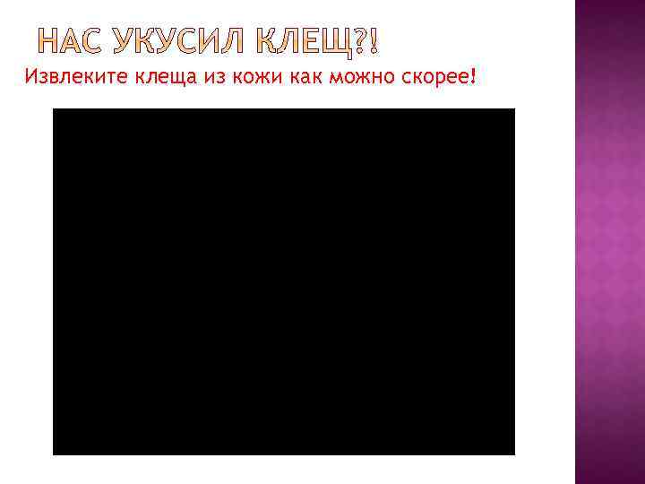 Извлеките клеща из кожи как можно скорее! 