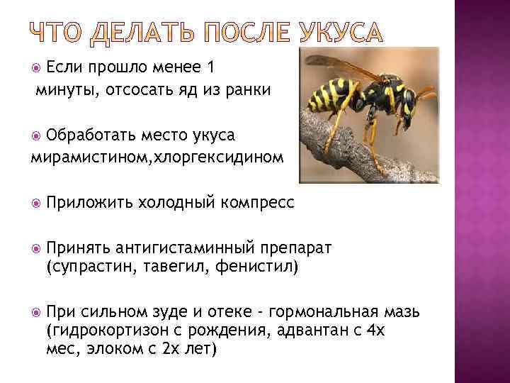 Если прошло менее 1 минуты, отсосать яд из ранки Обработать место укуса мирамистином, хлоргексидином
