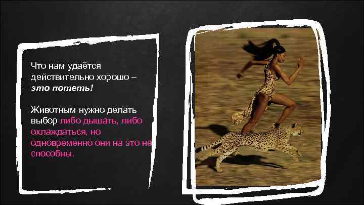 Что нам удаётся действительно хорошо – это потеть! Животным нужно делать выбор либо дышать,