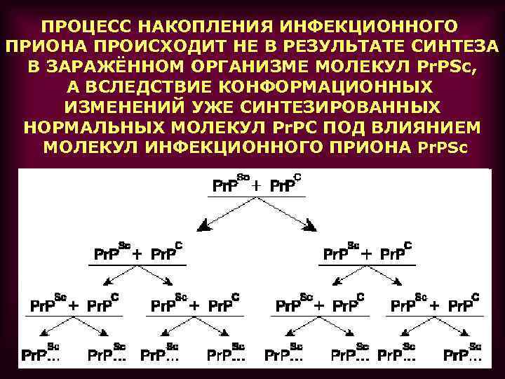ПРОЦЕСС НАКОПЛЕНИЯ ИНФЕКЦИОННОГО ПРИОНА ПРОИСХОДИТ НЕ В РЕЗУЛЬТАТЕ СИНТЕЗА В ЗАРАЖЁННОМ ОРГАНИЗМЕ МОЛЕКУЛ Pr.