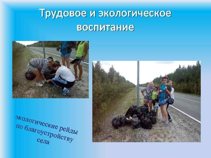 Трудовое и экологическое воспитание эколо гичес кие р по бл ейды агоус тройс тву