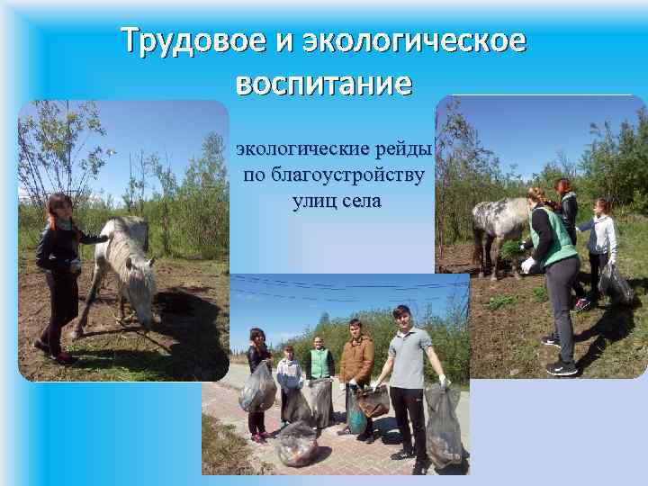 Трудовое и экологическое воспитание • экологические рейды по благоустройству улиц села 
