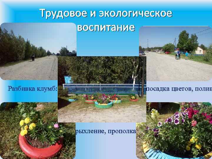 Трудовое и экологическое воспитание Разбивка клумб: посадка цветов, полив рыхление, прополка 