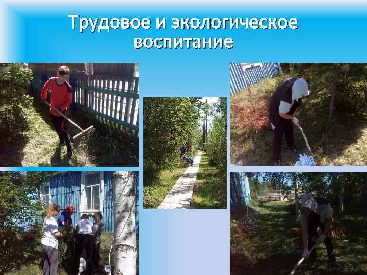 Трудовое и экологическое воспитание 