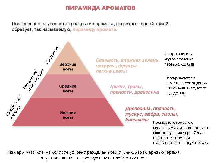 Пирамида духов. Пирамида аромата. Пирамида нот в духах. Пирамида запаха духов. Пирамида звучания аромата.