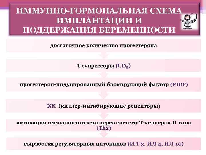 ИММУННО-ГОРМОНАЛЬНАЯ СХЕМА ИМПЛАНТАЦИИ И ПОДДЕРЖАНИЯ БЕРЕМЕННОСТИ достаточное количество прогестерона Т супрессоры (CD 8) прогестерон-индуцированный