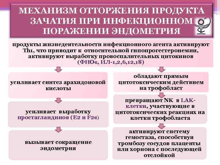 МЕХАНИЗМ ОТТОРЖЕНИЯ ПРОДУКТА ЗАЧАТИЯ ПРИ ИНФЕКЦИОННОМ ПОРАЖЕНИИ ЭНДОМЕТРИЯ продукты жизнедеятельности инфекционного агента активируют Th