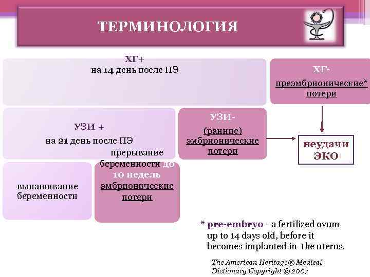 ТЕРМИНОЛОГИЯ ХГ+ на 14 день после ПЭ УЗИ + на 21 день после ПЭ