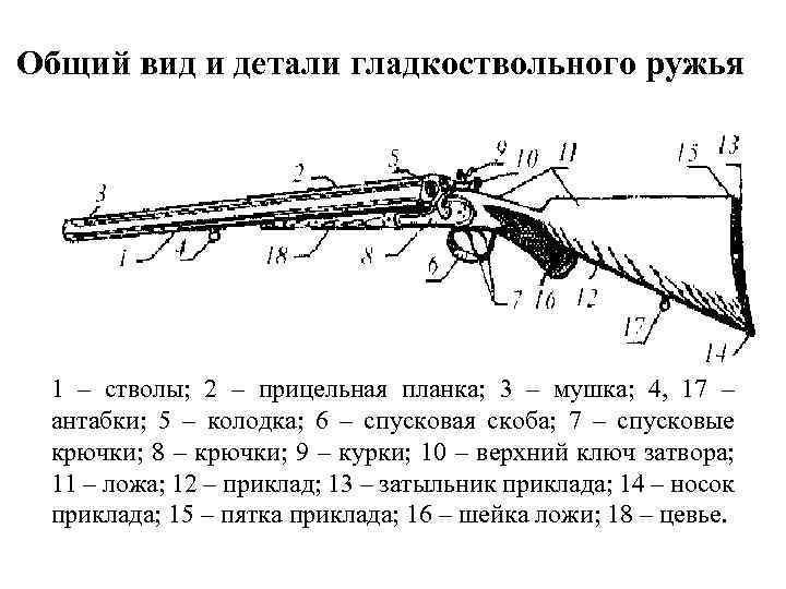 Общий вид и детали гладкоствольного ружья 1 – стволы; 2 – прицельная планка; 3