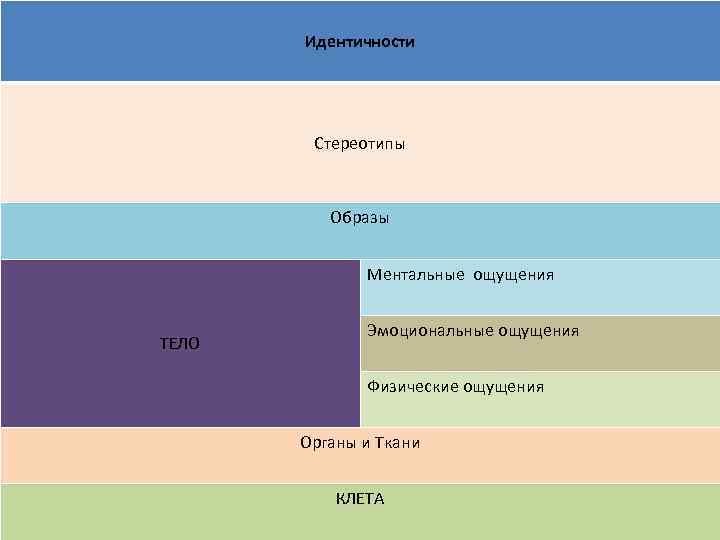 Идентичности Стереотипы Образы Ментальные ощущения ТЕЛО Эмоциональные ощущения Физические ощущения Органы и Ткани КЛЕТА