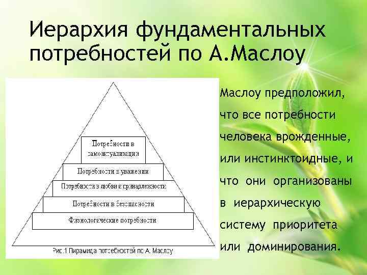 Иерархия фундаментальных потребностей по А. Маслоу предположил, что все потребности человека врожденные, или инстинктоидные,