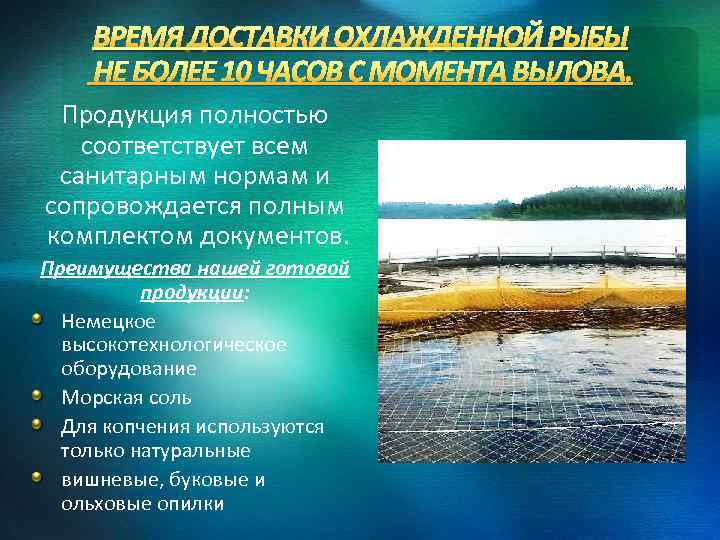 ВРЕМЯ ДОСТАВКИ ОХЛАЖДЕННОЙ РЫБЫ НЕ БОЛЕЕ 10 ЧАСОВ С МОМЕНТА ВЫЛОВА. Продукция полностью соответствует
