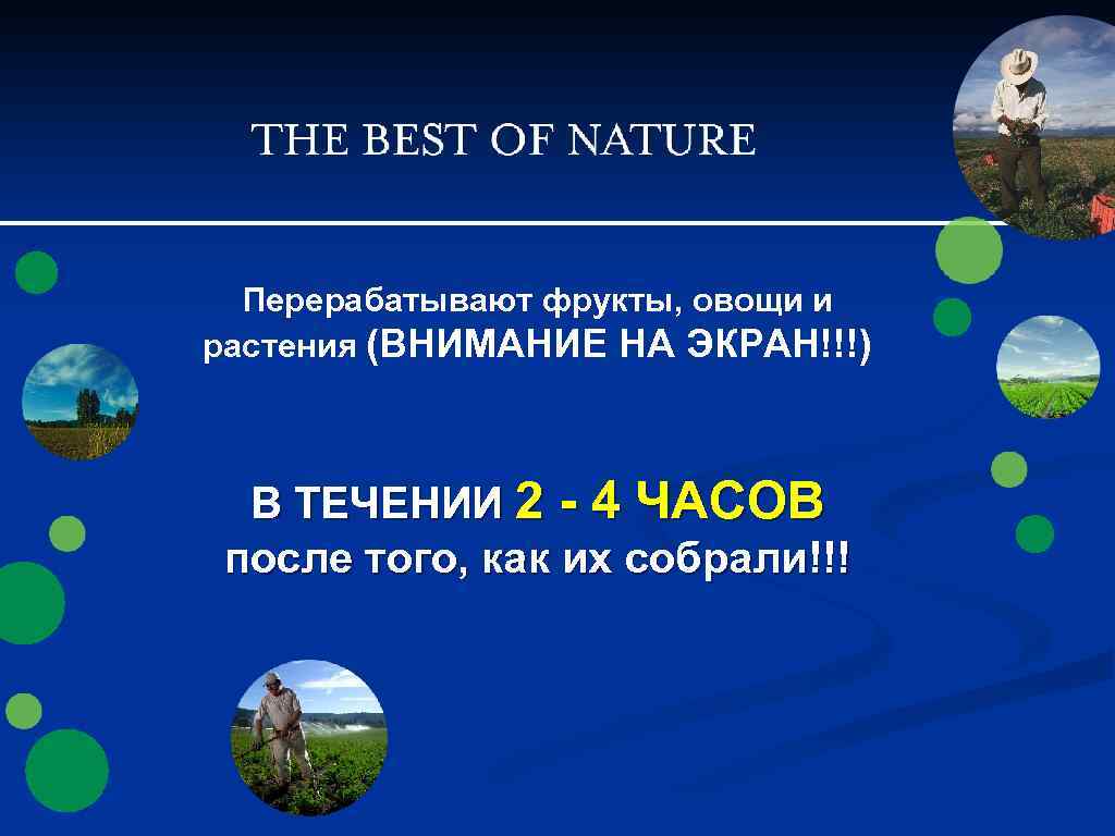Перерабатывают фрукты, овощи и растения (ВНИМАНИЕ НА ЭКРАН!!!) В ТЕЧЕНИИ 2 - 4 ЧАСОВ