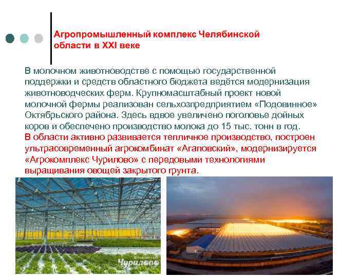 В молочном животноводстве с помощью государственной поддержки и средств областного бюджета ведётся модернизация животноводческих