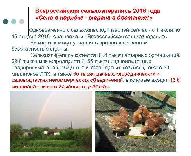 Всероссийская сельхозперепись 2016 года «Село в порядке - страна в достатке!» Одновременно с сельхозпаспортизацией