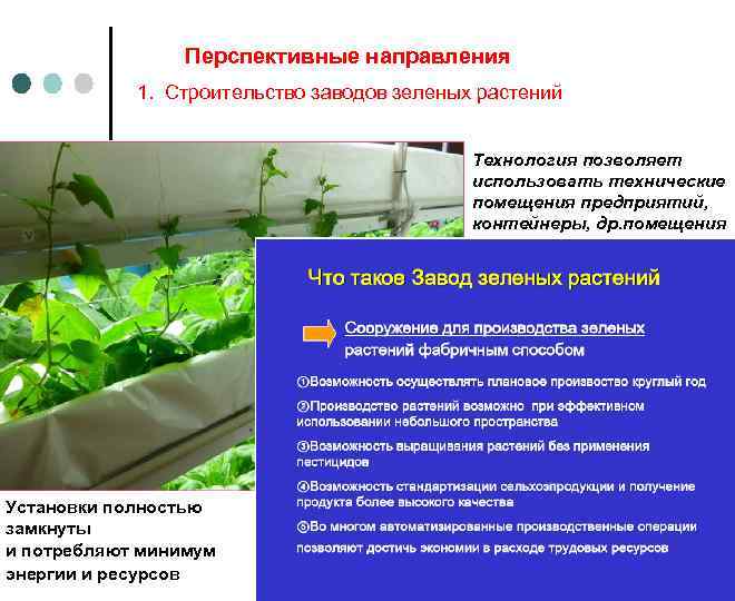 Перспективные направления 1. Строительство заводов зеленых растений Технология позволяет использовать технические помещения предприятий, контейнеры,