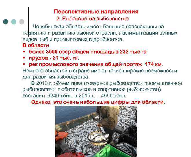 2. Рыбоводство-рыболовство Челябинская область имеет большие перспективы по поднятию и развитию рыбной отрасли, акклиматизации