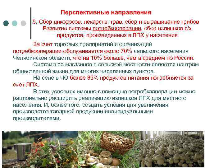 Что такое сбор. Рост и развитие грибов. Актуальность сельского хозяйства. Перспективы развития с/х. Пункт сбора дикоросов.