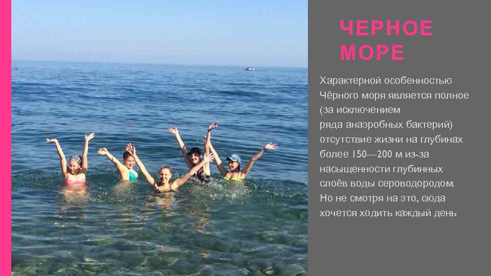 ЧЕРНОЕ МОРЕ Характерной особенностью Чёрного моря является полное (за исключением ряда анаэробных бактерий) отсутствие