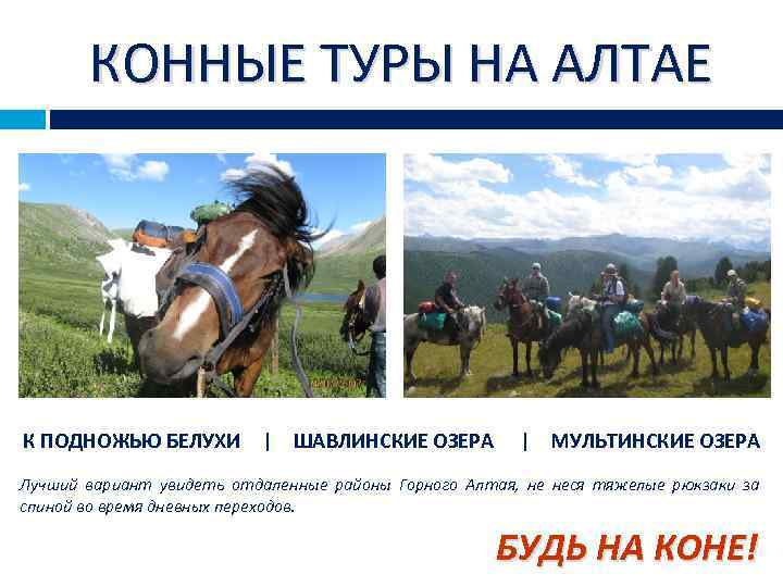 КОННЫЕ ТУРЫ НА АЛТАЕ К ПОДНОЖЬЮ БЕЛУХИ | ШАВЛИНСКИЕ ОЗЕРА | МУЛЬТИНСКИЕ ОЗЕРА Лучший