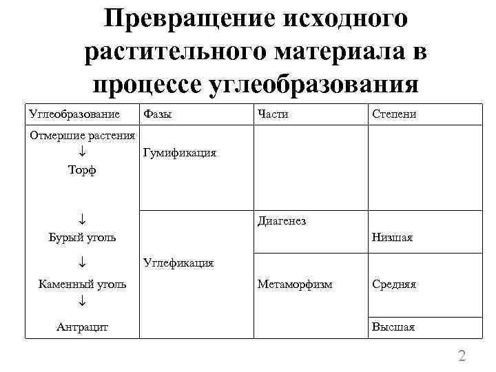 Превращение исходного растительного материала в процессе углеобразования Углеобразование Фазы Части Степени Отмершие растения Гумификация