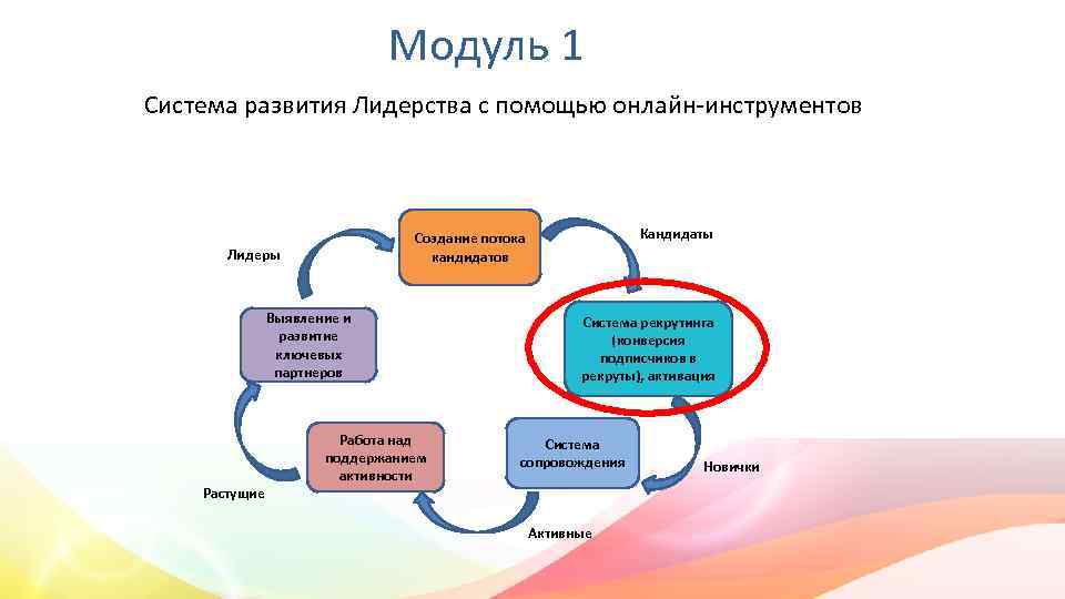 Модуль 1 Система развития Лидерства с помощью онлайн-инструментов Лидеры Выявление и развитие ключевых партнеров