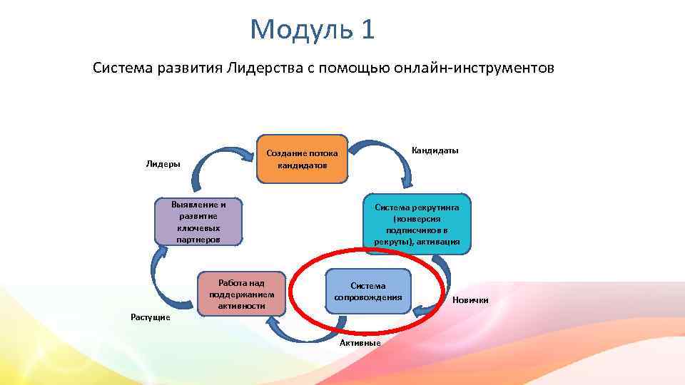 Модуль 1 Система развития Лидерства с помощью онлайн-инструментов Лидеры Выявление и развитие ключевых партнеров