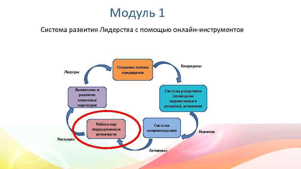 Развитие системы. Модули курса презентации.