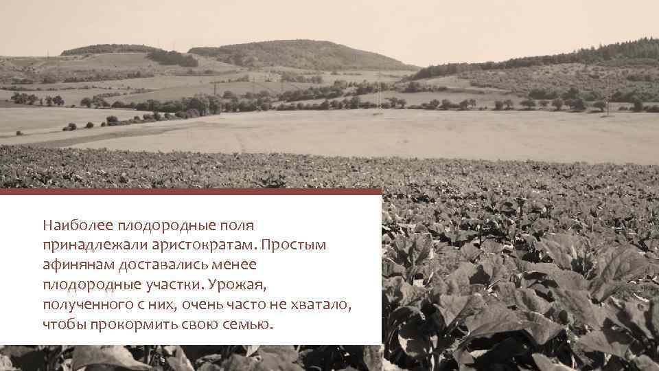 Наиболее плодородные поля принадлежали аристократам. Простым афинянам доставались менее плодородные участки. Урожая, полученного с