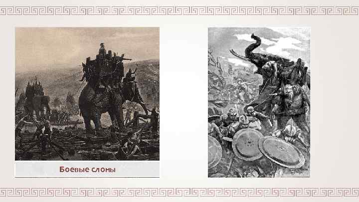 Боевые слоны 