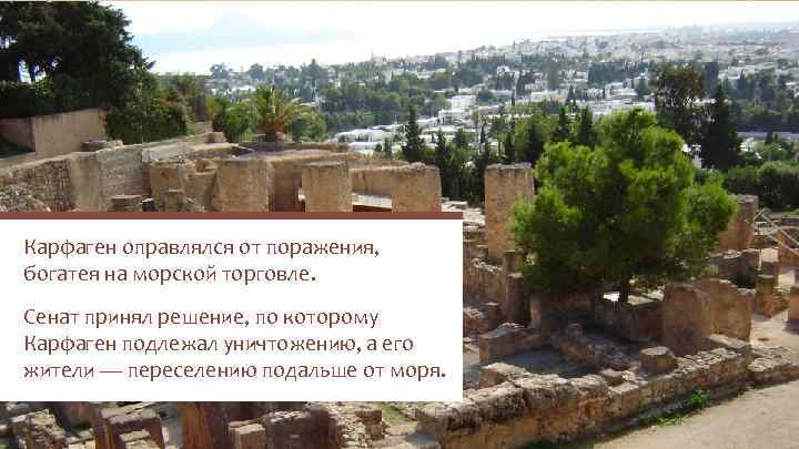 Карфаген оправлялся от поражения, богатея на морской торговле. Сенат принял решение, по которому Карфаген